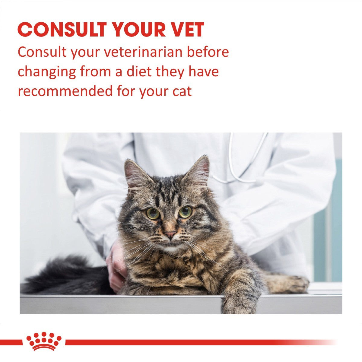 Royal Canin Diabetic Pouches for Cats 12 x 85