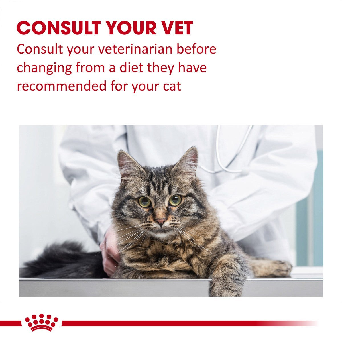Royal Canin Renal Pouches for fish 12x 85 gram