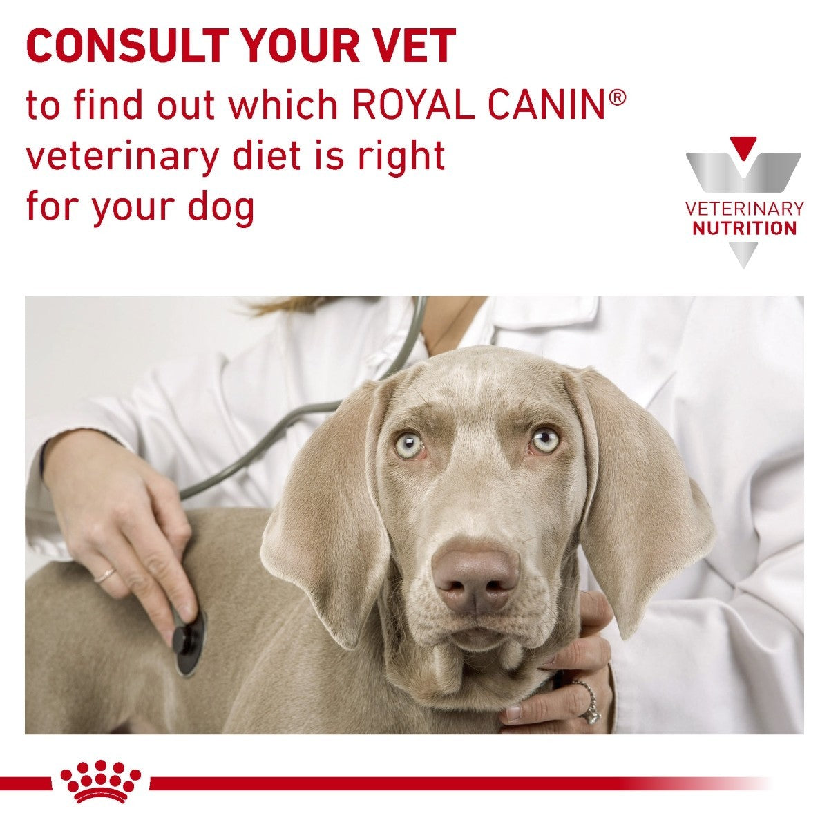 Royal Canin Hypoallergenic Tins for Dogs