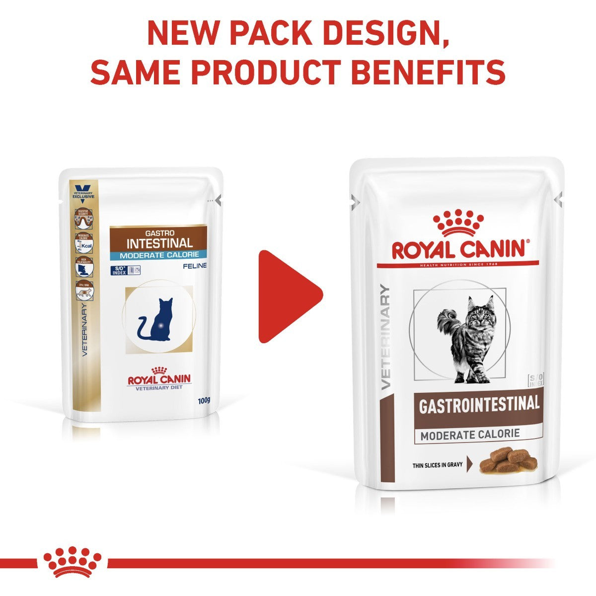 Royal Canin Gastro Intestinal Pouches for Cats 12 x 85 gram