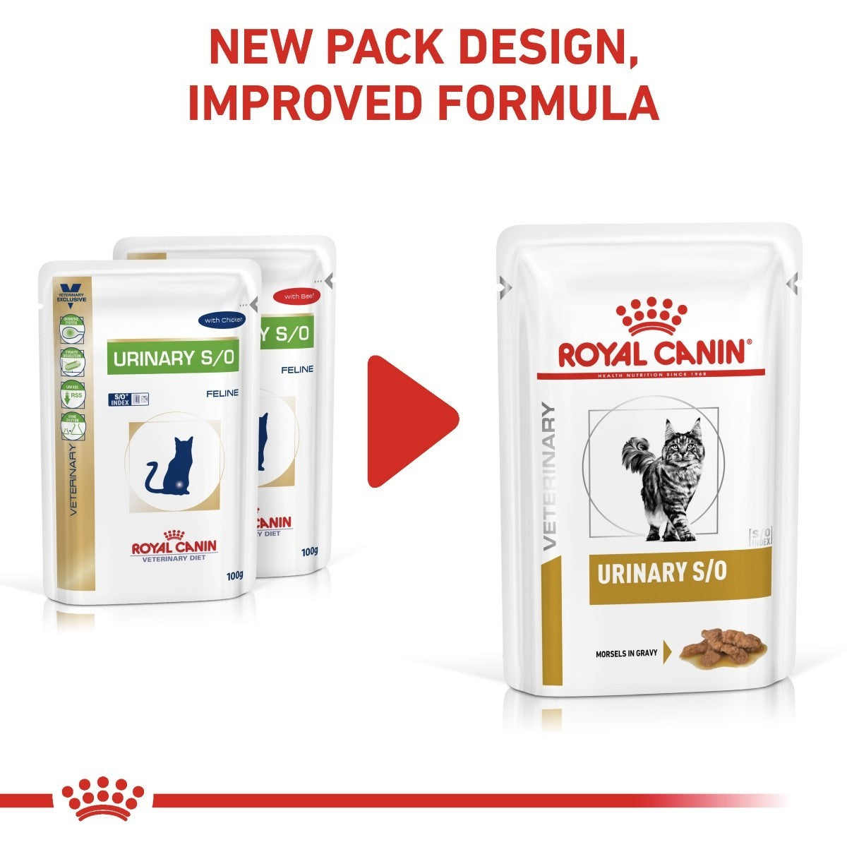 Royal Canin Urinary S/O Pouches for Cats 12 x 85 gram