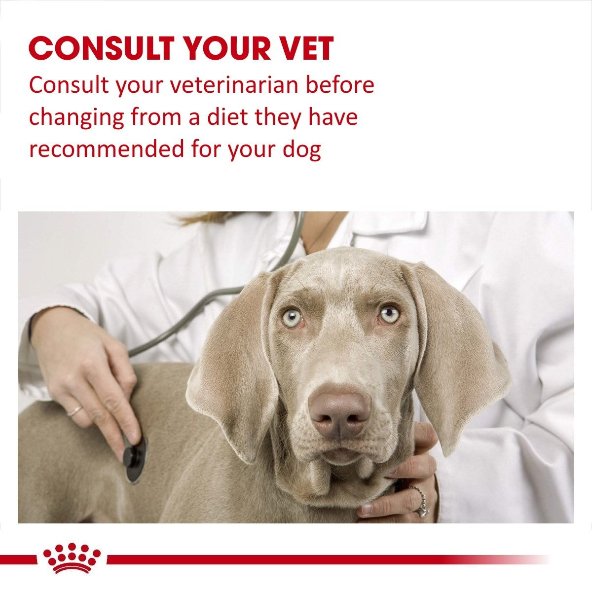 Royal Canin Gastro Intestinal Low-Fat Tins for Dogs