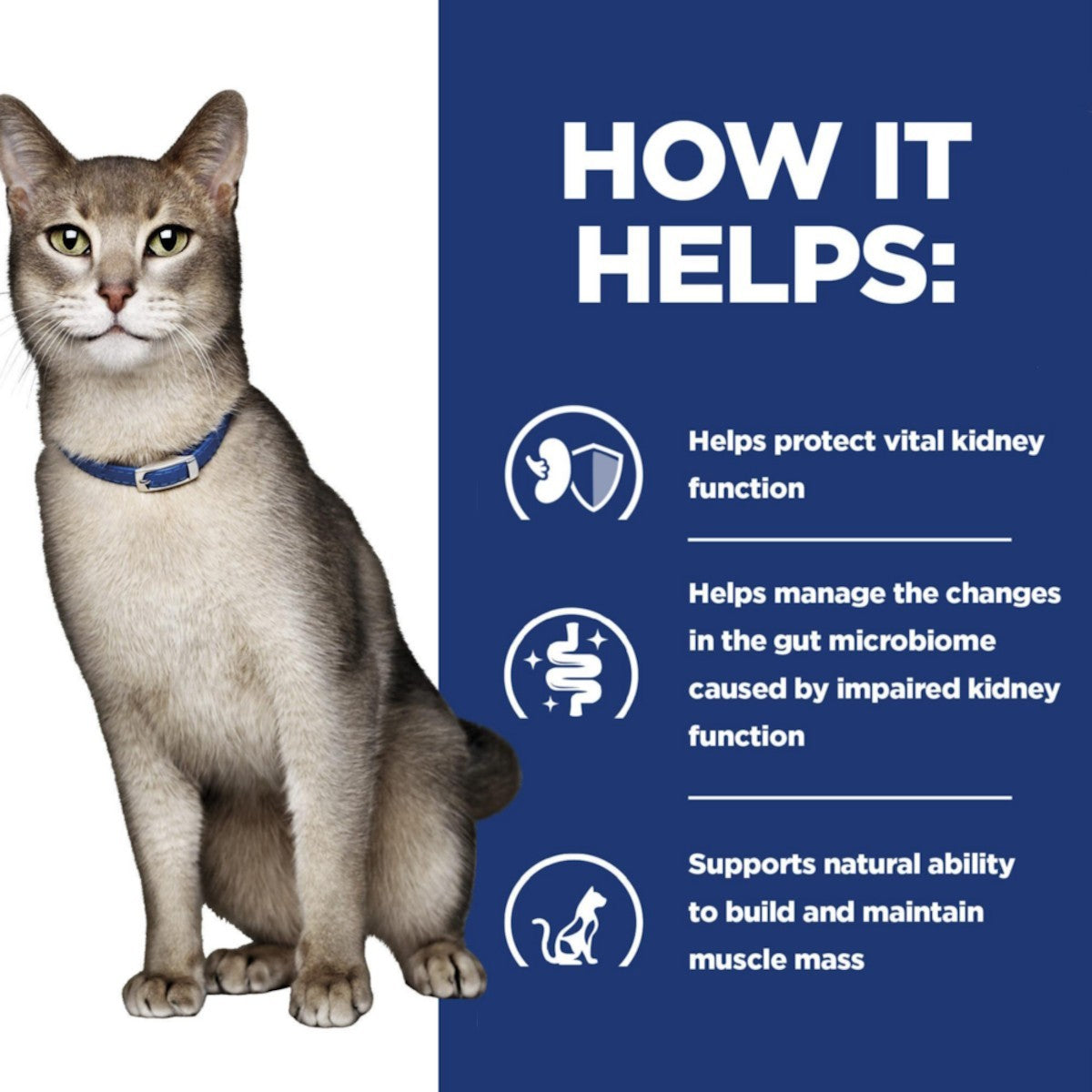 Hills Prescription Diet KD Pouches for Cats salmon 12 x 85 gram