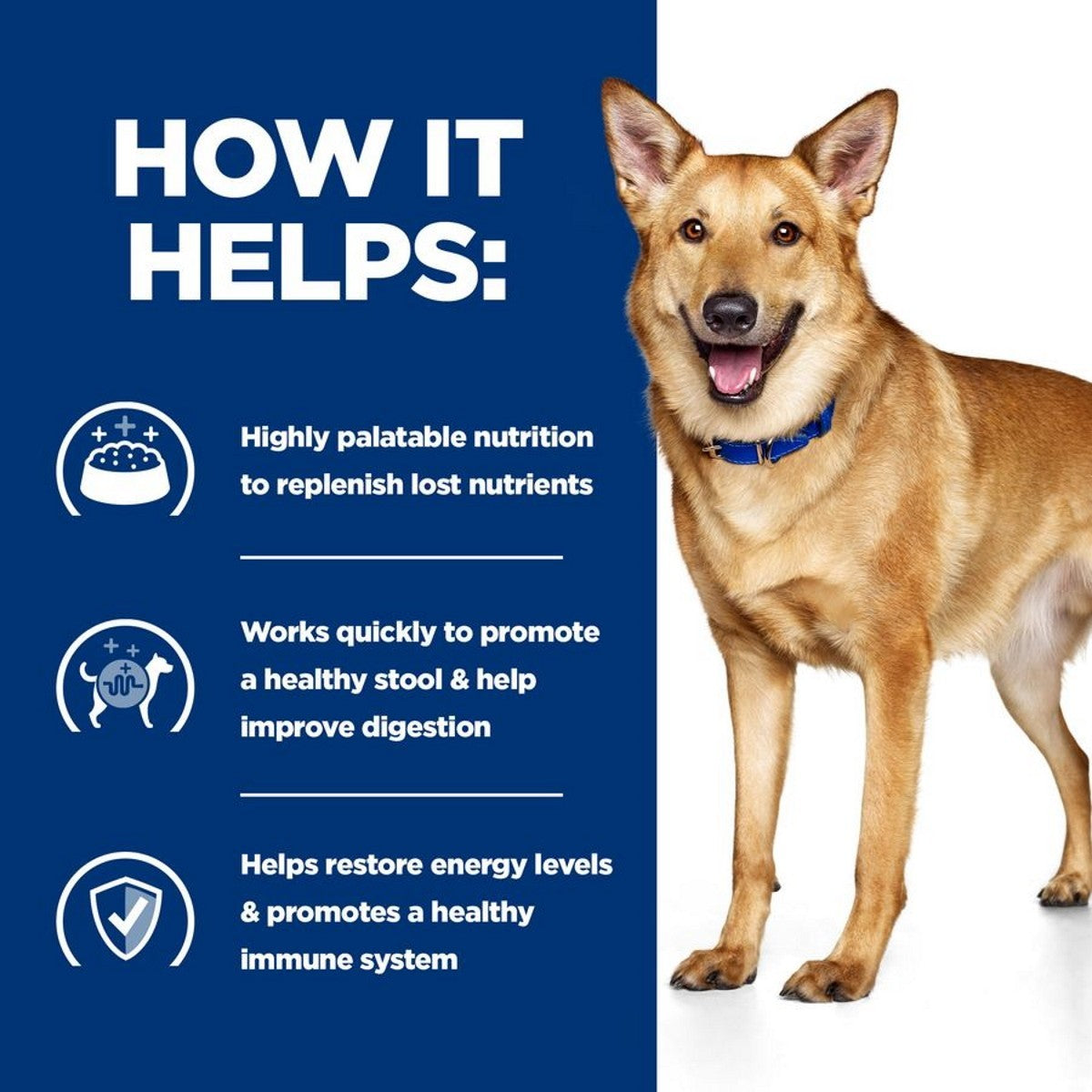 Hills Prescription Diet ID Tins for Dogs 12 x 360 gram